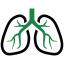 Respiratory System Icon
